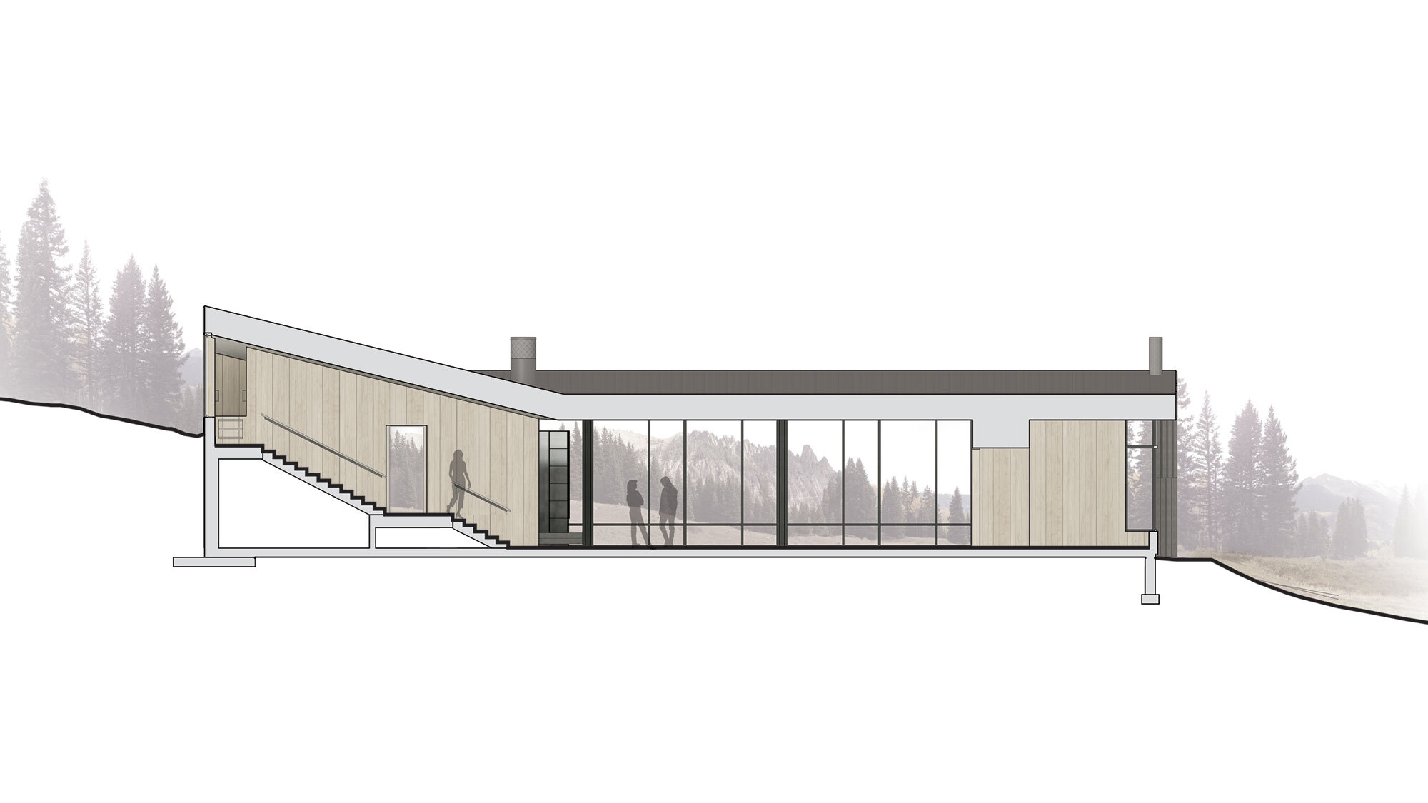 CCY Architects DNA ILLUSTRATIVE SECTION