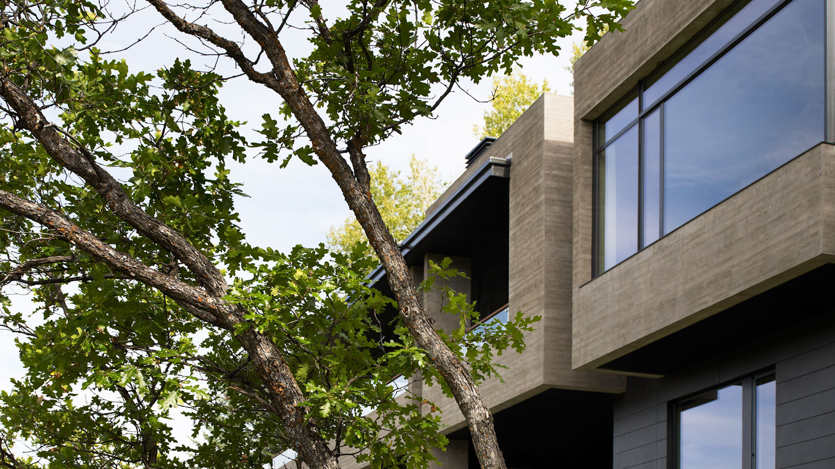 CCY Architects Red Mountain thumbnail scrub oak