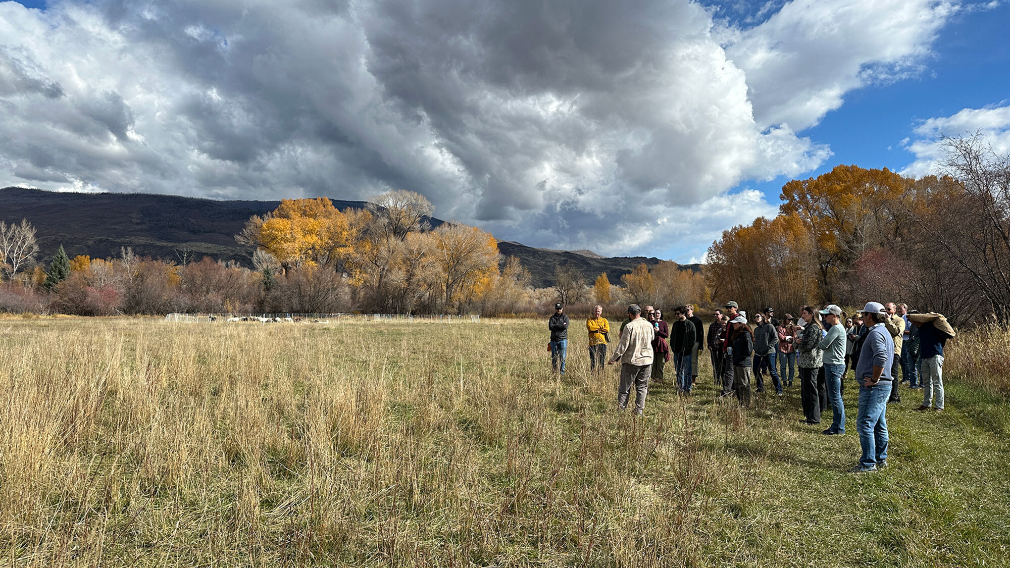 CCY Architects | CCY Team Retreat at Rock Bottom Ranch