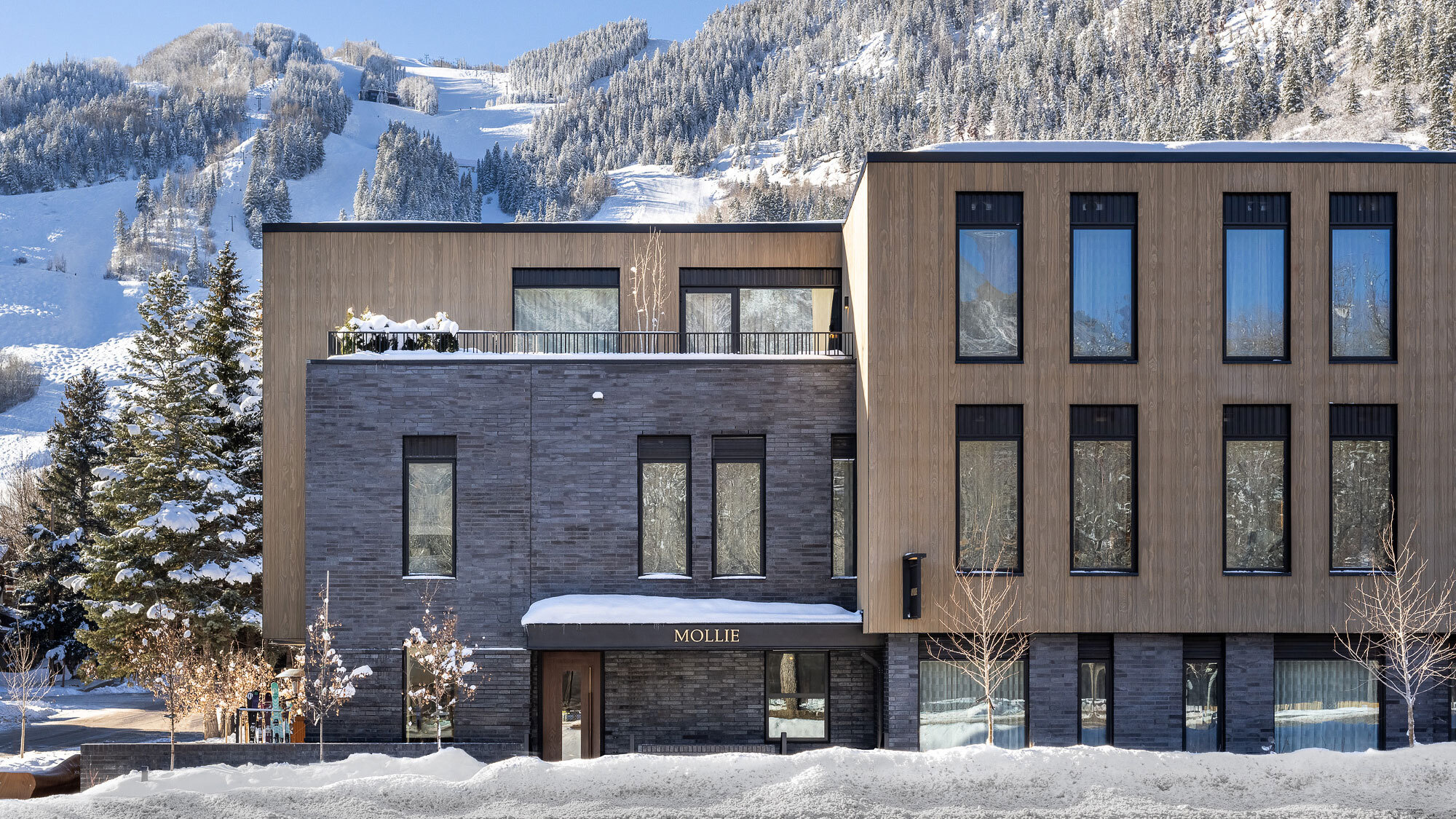 CCY Architects | MOLLIE Aspen