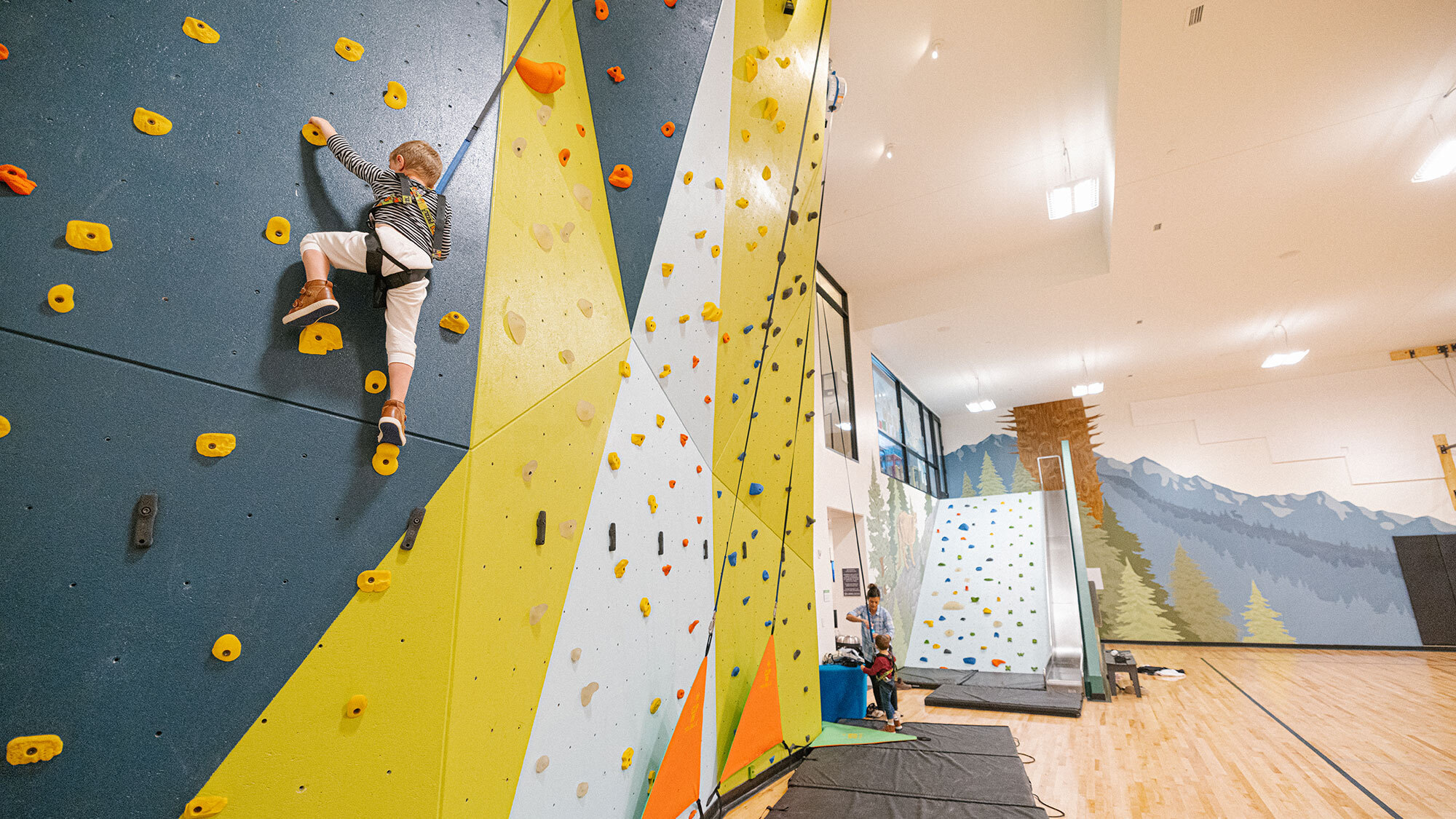 CCY Architects Ulerys Gym climbing wall Zakara image