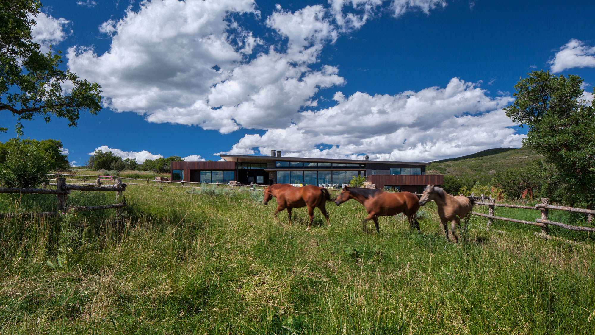 Gambel Oaks Ranch